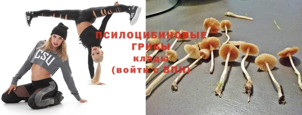 герыч Осинники